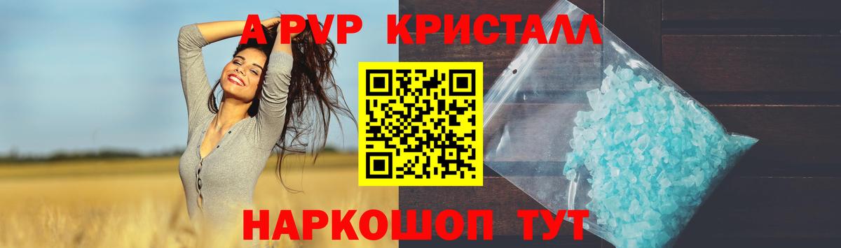 Alfa_PVP СК КРИС Великий Устюг