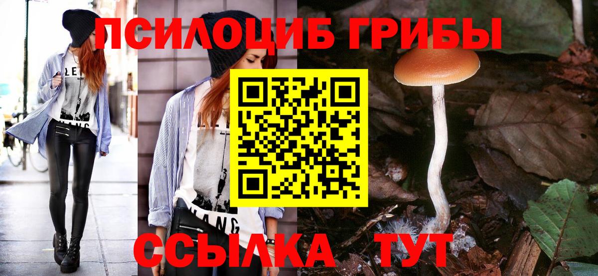 Галлюциногенные грибы Magic Shrooms  Вход с VPN  где купить наркоту  Великий Устюг  Галлюциногенные грибы Psilocybine cubensis 