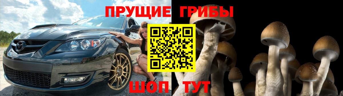 Галлюциногенные грибы Magic Shrooms Великий Устюг